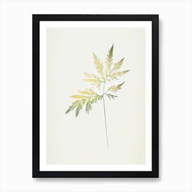 Meadowsweet Leaf Minimalist Watercolour Art Print