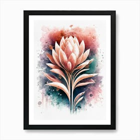 Protea Flower Watercolor Painting Art Print