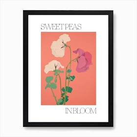 Sweet Peas In Bloom Flowers Bold Illustration 2 Art Print