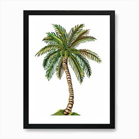 Palm Tree 33 Art Print