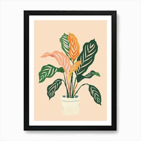 Calathea Plant Minimalist Illustration 1 Art Print