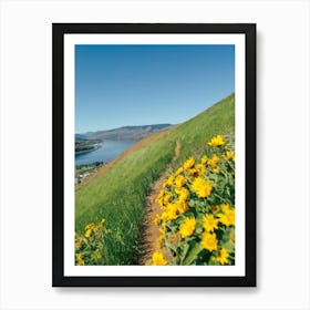 Yellow Wildflower Path Art Print