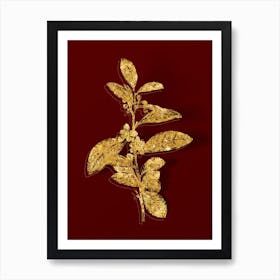 Vintage Tea Tree Botanical in Gold on Red n.0291 Art Print