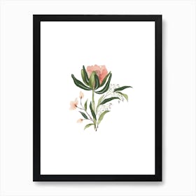 Blooming Art Print