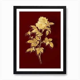 Vintage White Anjou Roses Botanical in Gold on Red Art Print