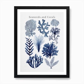 Seaweeds And Corals Collection (Blue) Art Print