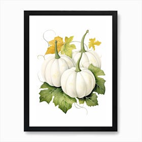 White Pumpkin Watercolour Illustration 3 Art Print