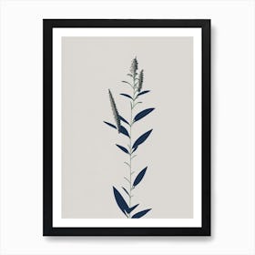 Hyssop Herb Simplicity Art Print