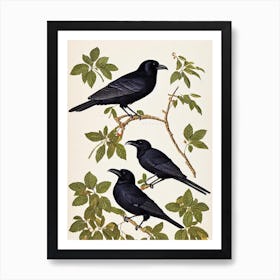 Raven 2 James Audubon Vintage Style Bird Art Print