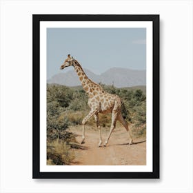 Giraffe In The Wild Art Print