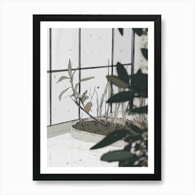 Plant In The Window Art Print