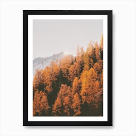 Orange Mountain Trees Art Print