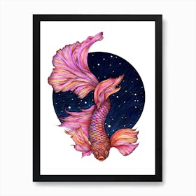 Rainbow Waters: The Betta Fish Art Print