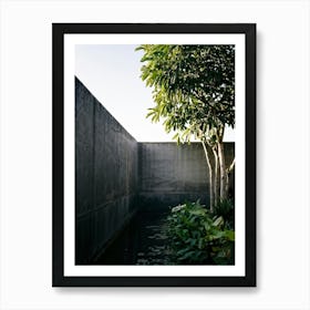 Nature Petiole Art Sunshine Black Up High Overlay Concrete Shadowy Floral Light Natural 2 Art Print