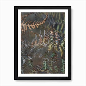 Earthy Ferns 2 Art Print