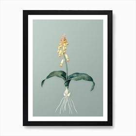 Vintage Watsonia Botanical Art on Mint Green Art Print