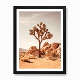  Photograph Of A Joshua Tree In Rocky Landscape 1 Art Print