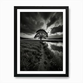 Lone Tree 2 Art Print