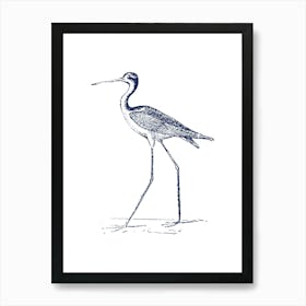 Bird With Long Legs Art Print