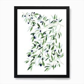 Mediterranean Plant Olive Tree Botanical Painting Art Print