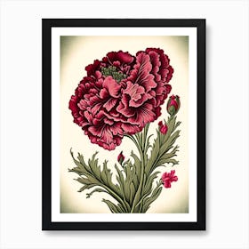 Carnation 3 Floral Botanical Vintage Poster Flower Art Print