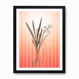 Gladiolus Xanthospilus Vintage Botanical in Peach Fuzz Awning Stripes Pattern n.0238 Art Print