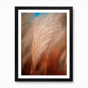 Reeds Nature Grass Art Print