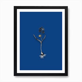 Vintage Alpine Squill Black and White Gold Leaf Floral Art on Midnight Blue n.0947 Art Print