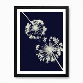 Blue Allium cyanotype Art Print