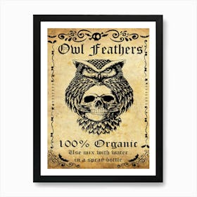 Owl Feathers, Halloween Poster Art Print