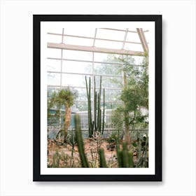 Brooklyn Greenhouse Nyc 2 Art Print