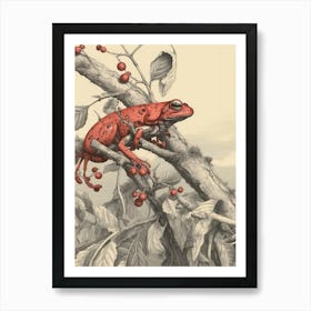 Red Tree Frog Vintage Botanical 8 Art Print