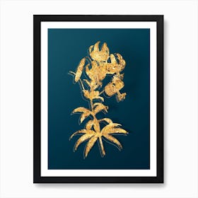 Vintage Turban Lily Botanical in Gold on Teal Blue n.0285 Art Print