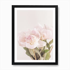 Light Pink Peonies Art Print