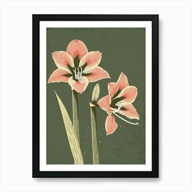 Pink & Green Amaryllis 3 Art Print