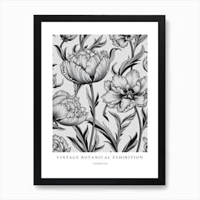 Carnation B&W Vintage Botanical Poster Poster