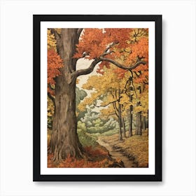 Poplar 3 Vintage Autumn Tree Print  Art Print