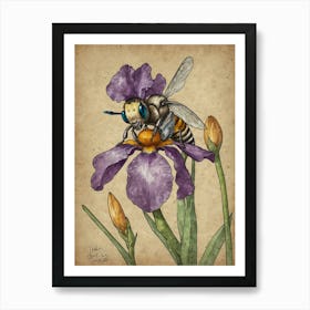 Bee On Iris 1 Art Print