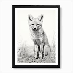 Tibetan Sand Fox In A Field Pencil Drawing 1 Art Print