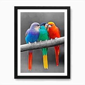 Three Colorful Parrots Art Print