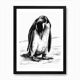 Emperor Penguin Grooming Their Feathers 2 Art Print