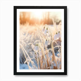 Frosty Botanical Snowdrop 1 Art Print