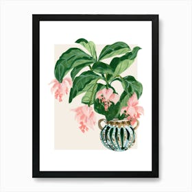 Fuchsia Art Print