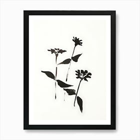 Three Flowers In Black And White Art Print