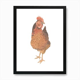 Captain Morgan Hen Illustration Art Print