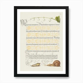 Lily Of The Valley, Pupa, And Land Snail From Mira Calligraphiae Monumenta, Joris Hoefnagel Art Print