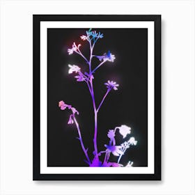 Florescence Purple Art Print