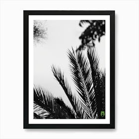 Black And White Palm Tree 20210907 365ppub Art Print