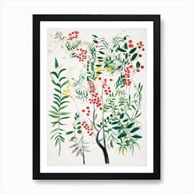 Whitecurrant Fruit Drawing 1 Art Print