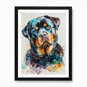 Rottweiler Watercolor Painting 1 Art Print